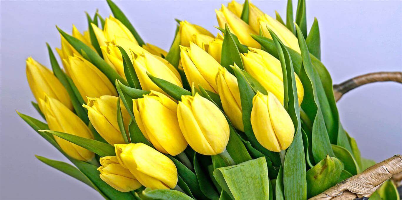 Ponpon_Flower_Studio