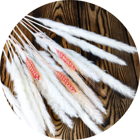 Delivery Information